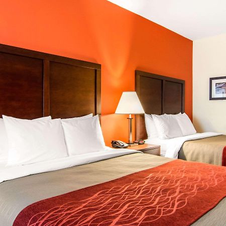 Comfort Inn & Suites Villa Rica Buitenkant foto